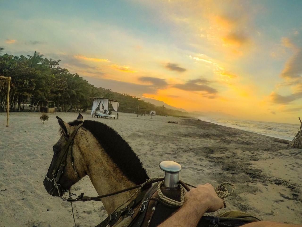 Hotel Tay Tayrona 3*